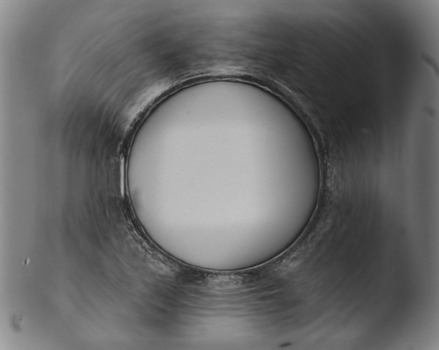 X0000103461171200809261834