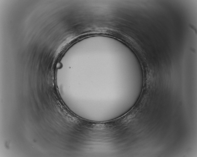 X0000103461172200809261833