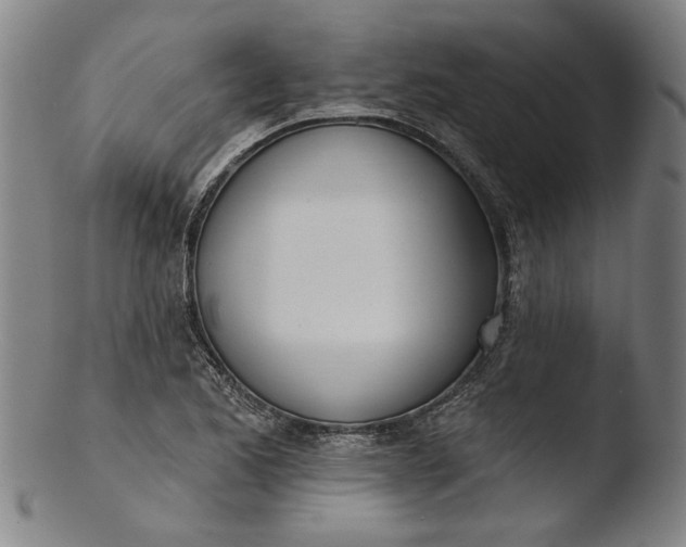 X0000103461173200809261833