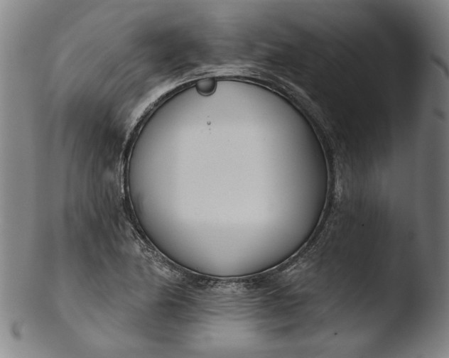 X0000103461174200809261833