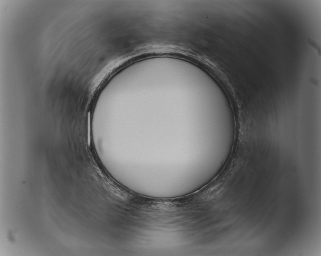 X0000103461175200809261833