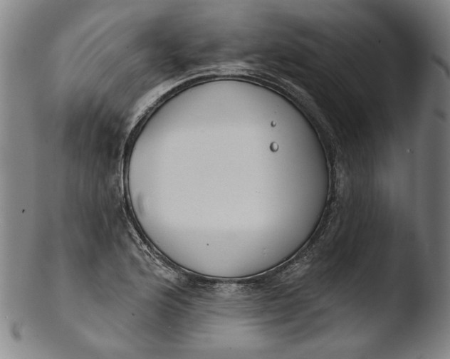 X0000103461176200809261833