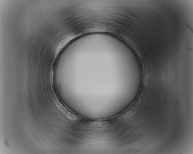 X0000103461179200809261833