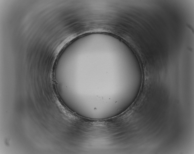 X0000103461181200809261833