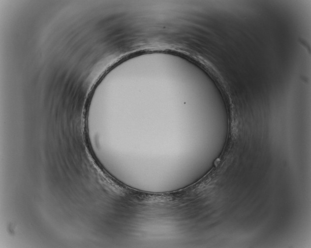 X0000103461183200809261833