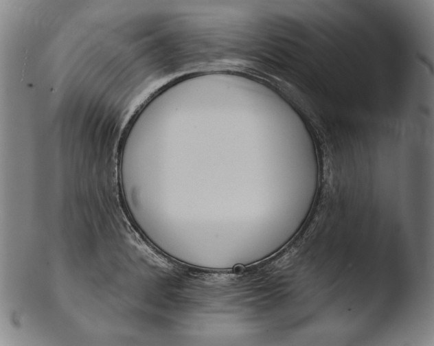 X0000103461184200809261833