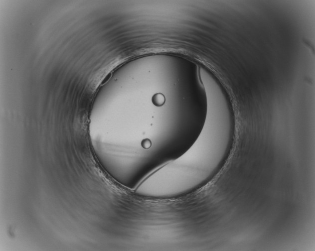 X0000103461185200809261833