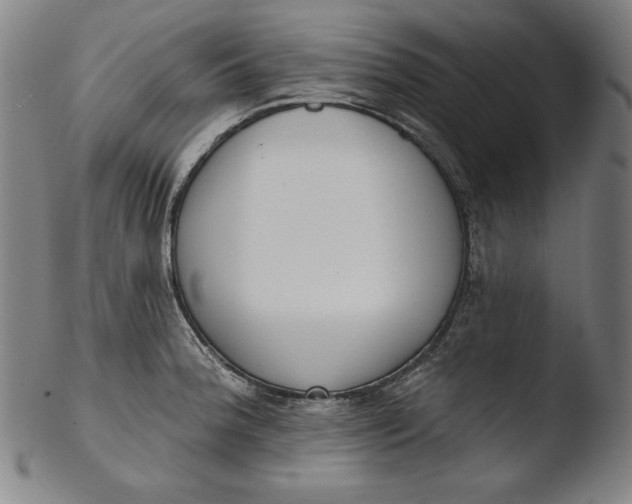 X0000103461188200809261833