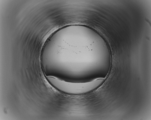 X0000103461189200809261833