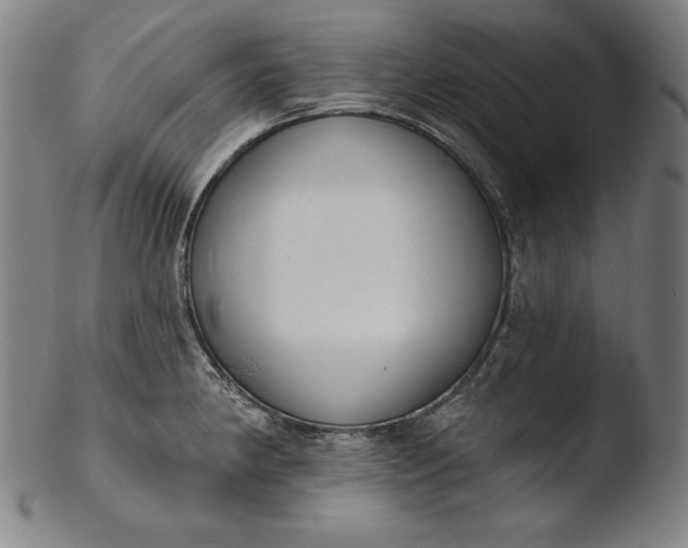 X0000103461190200809261833