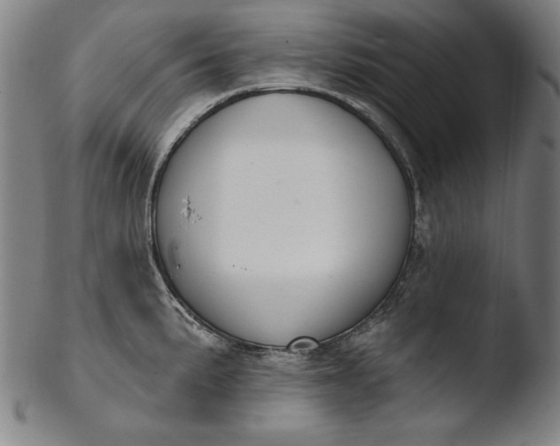 X0000103461191200809261833