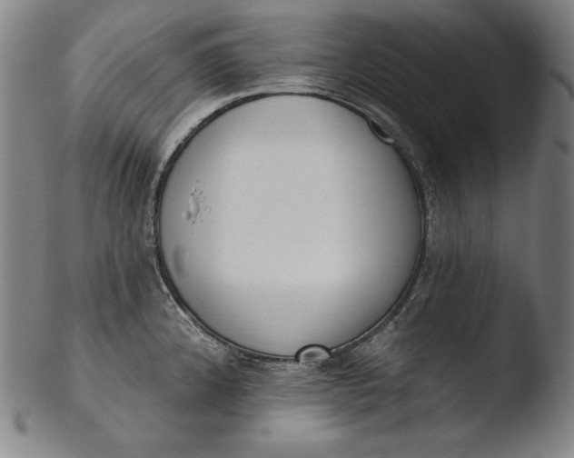 X0000103461192200809261833