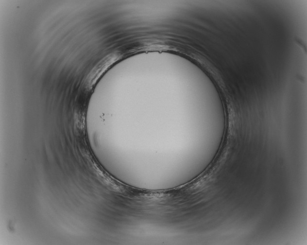 X0000103461193200809261833