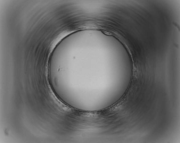 X0000103461195200809261833