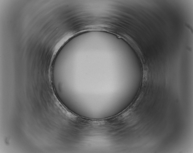 X0000103461196200809261833