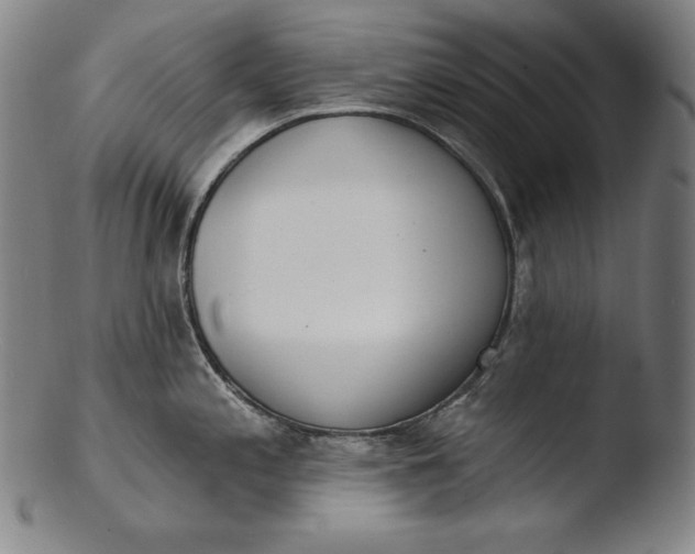 X0000103461197200809261833