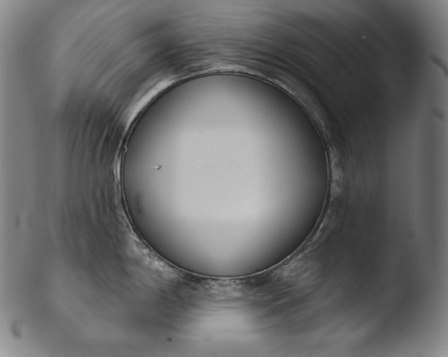 X0000103461198200809261833