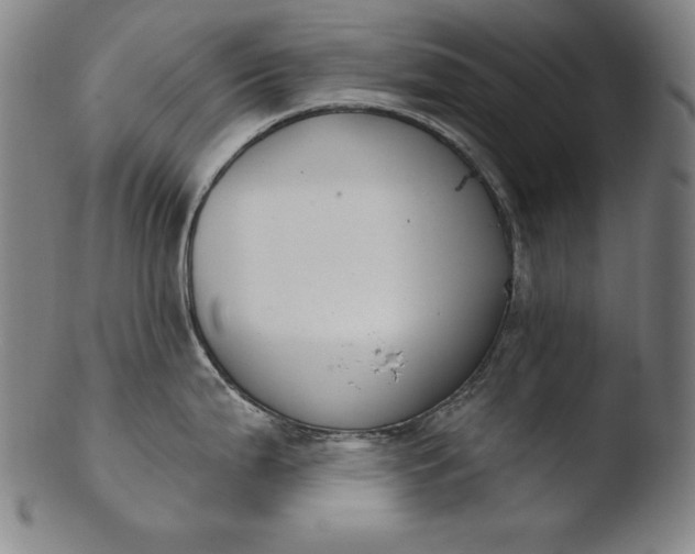 X0000103461199200809261833