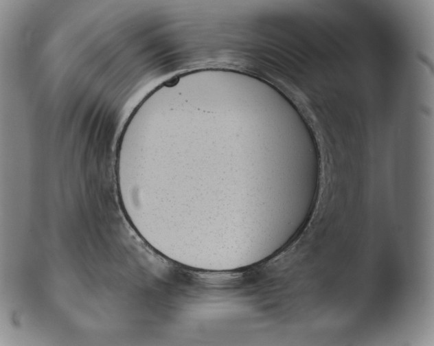 X0000103461200200809261833