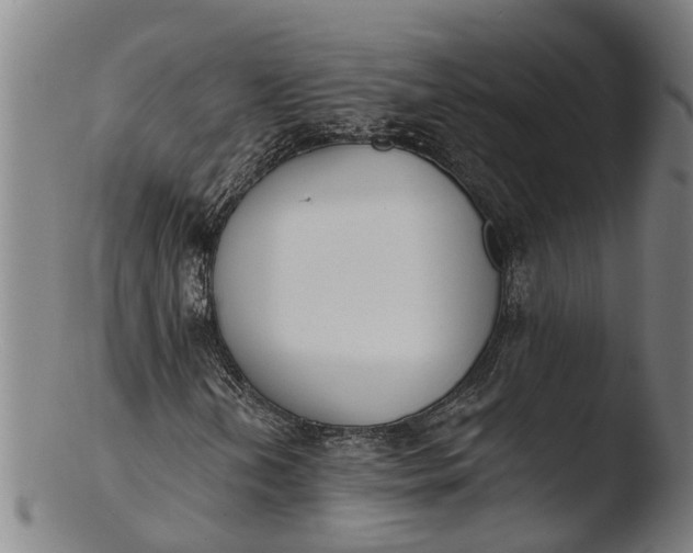 X0000103461202200809261832