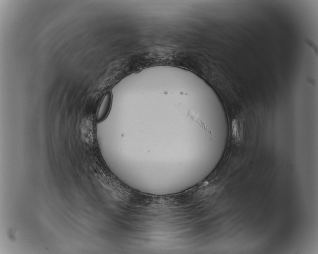 X0000103461203200809261832