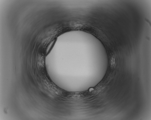 X0000103461204200809261832