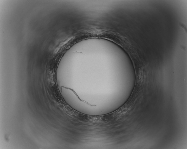 X0000103461205200809261833