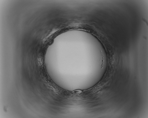 X0000103461206200809261833