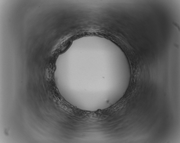 X0000103461207200809261833