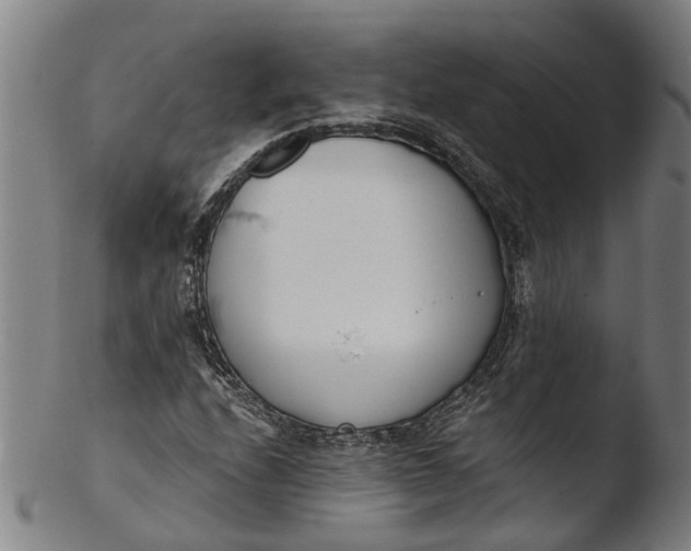 X0000103461208200809261833