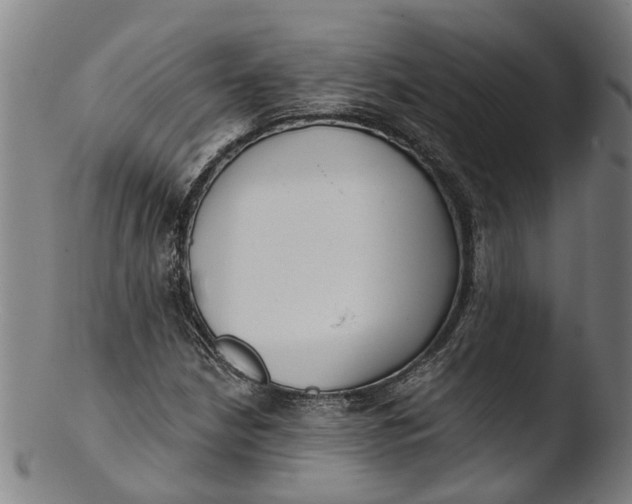 X0000103461210200809261833