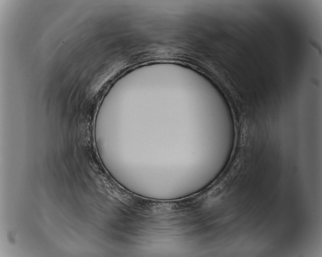 X0000103461211200809261833