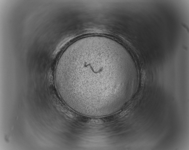 X0000103461215200809261833