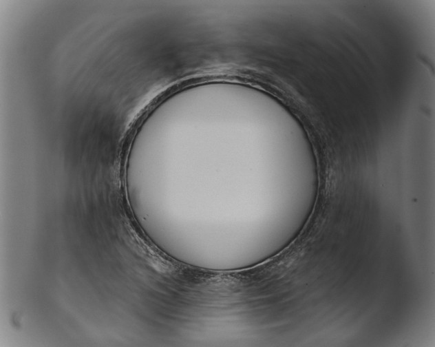 X0000103461216200809261833