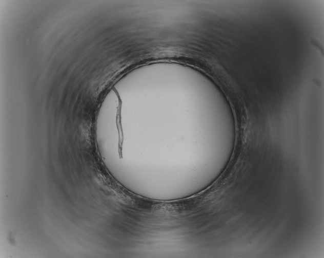 X0000103461217200809261833