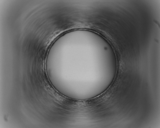 X0000103461220200809261833