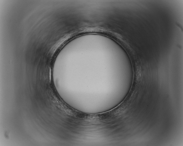 X0000103461221200809261833