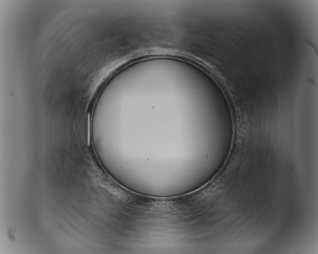 X0000103461223200809261833