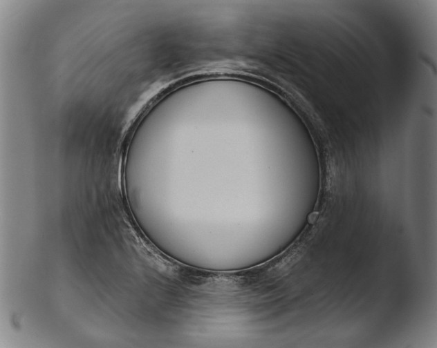 X0000103461224200809261833