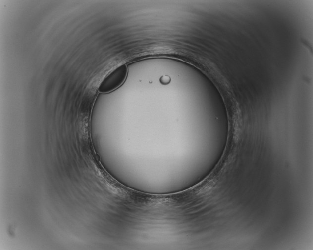 X0000103461225200809261833