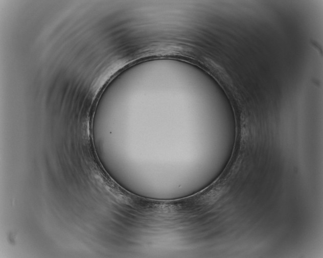 X0000103461226200809261833