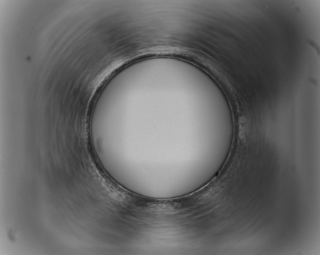 X0000103461229200809261833