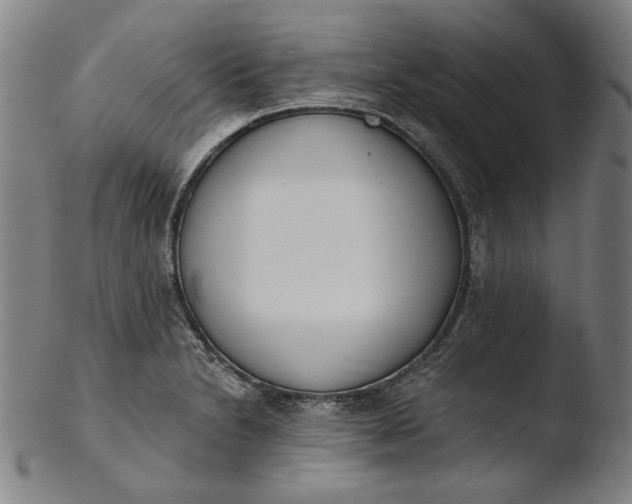 X0000103461230200809261833