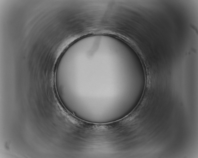 X0000103461231200809261833