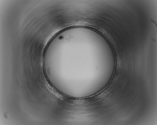 X0000103461232200809261833