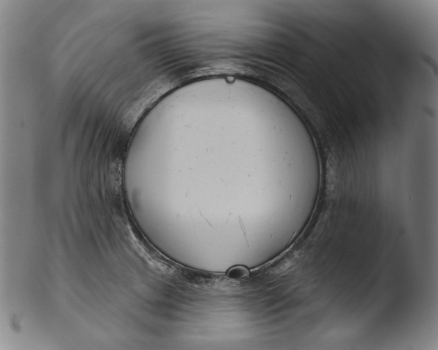 X0000103461233200809261833