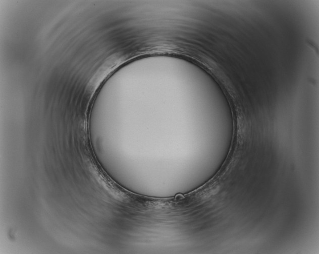 X0000103461234200809261833