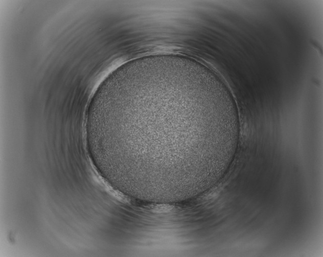 X0000103461235200809261833