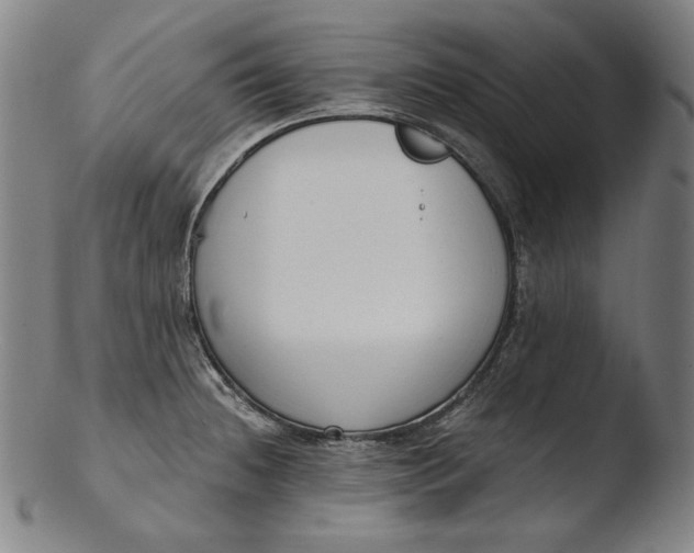 X0000103461236200809261833