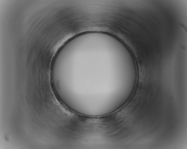 X0000103461237200809261833